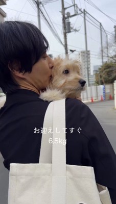 男性に抱っこされながら遠くを見つめる子犬