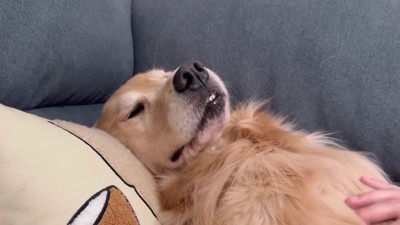 前歯が出たまま熟睡