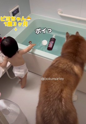 浴槽にポイポイ！！