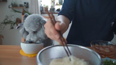 ご飯を食べる人と犬