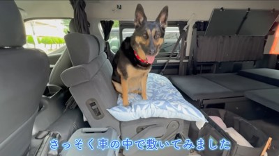 さっそく使ってくれました♪