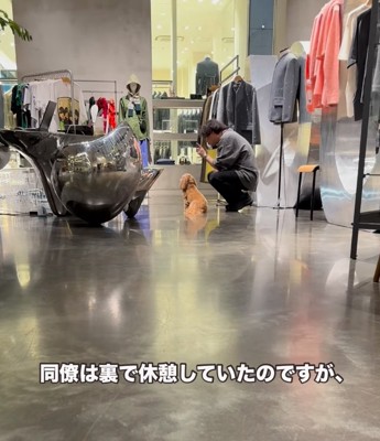 座り込む犬