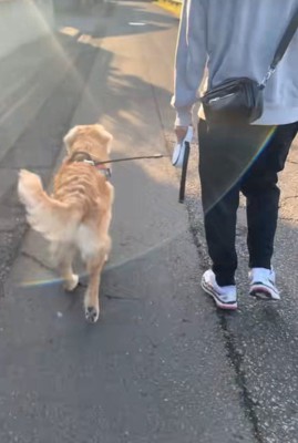 落ち着いて歩けるように成長