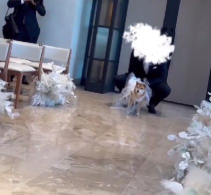 リングドッグにも挑戦!!