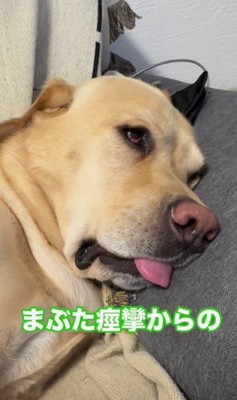 眼球戻ってきた