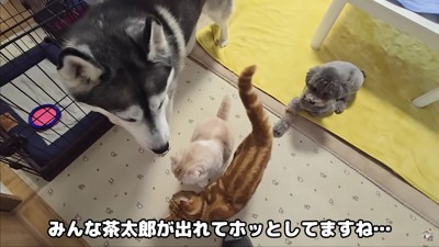 「みんな、どうもありがと」