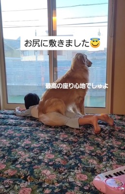 女の子の上で外を眺める