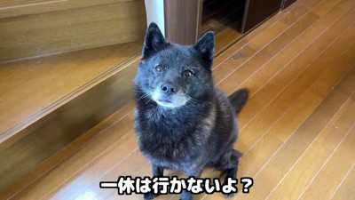 途端に悲しそうな表情に