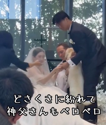 神父に近づく犬