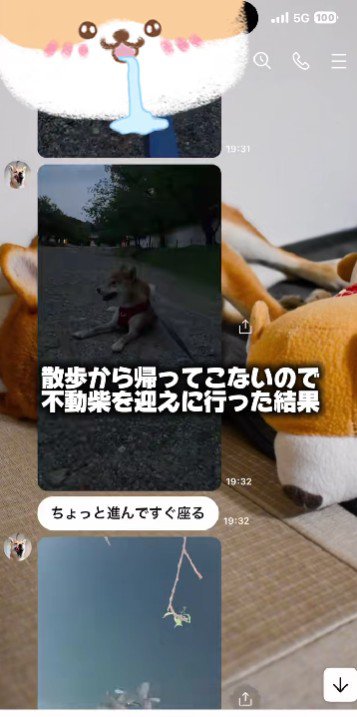 真っ暗になってる!!