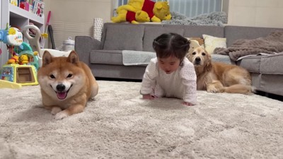 勝者はうにくんでした!!