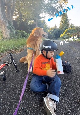 道草たくさんだけど…