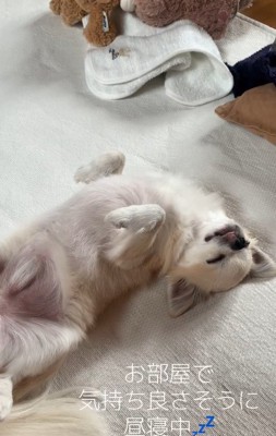 現在のアム君の様子