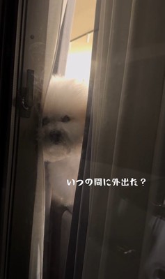 バレないで家を出られるか挑戦⑩