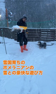 龍之介くんの雪遊び