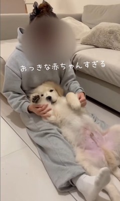 赤ちゃんのように甘えるぴの君