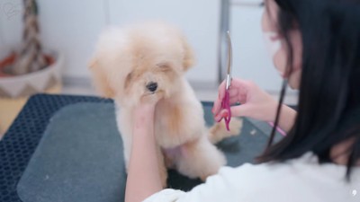 眠たくなってしまった