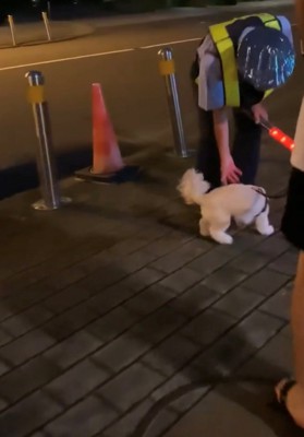 警備員に近づく犬