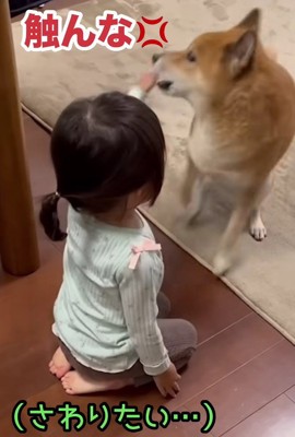 「触らないで!!」