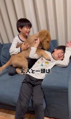 もなかちゃんとの1年間の軌跡7