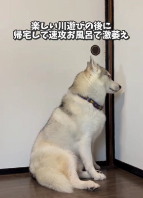 絶望の表情に(笑)