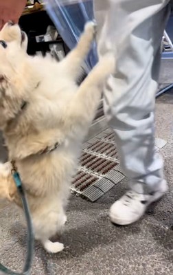 喜ぶエリーちゃん