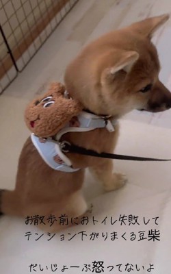 「全然かまわないよ」