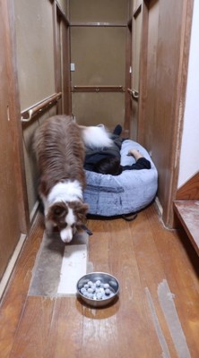 発見！すぐに食べに行きます