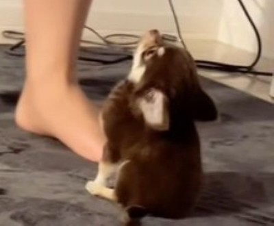 ちょこんとしていて可愛い♡