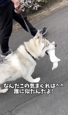 気の向くまま〜