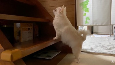 「ママ~!起きて~!」