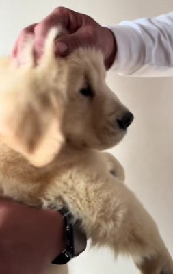 幸せ確定だね！！