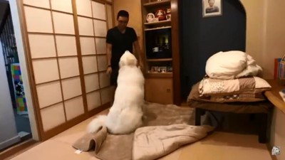 立ち上がるお兄さん