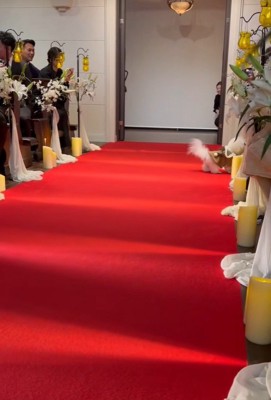 ミロちゃんがリングドッグに挑戦4