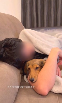 パパとママに寄り添うビッシュちゃん7