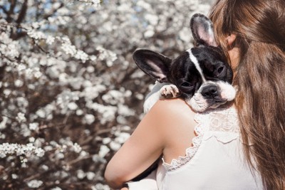 フレンチブルドッグ