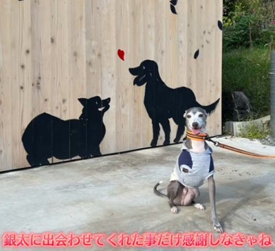 これからも幸せにね！！