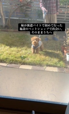 アルくんとの出会い4