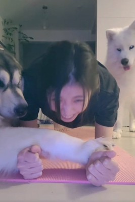 笑ってしまう飼い主さん