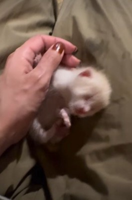 体調も芳しくない…