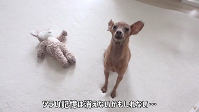 トラウマはなかなか消えない