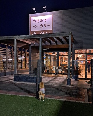 食いしん坊で可愛い♡