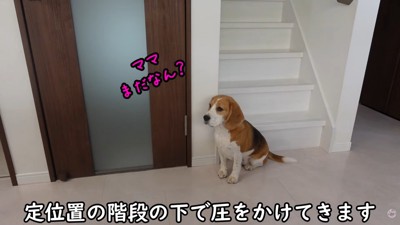 出勤前のママさんとメイちゃん2