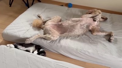 これからも仲良くね♡