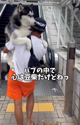 エスカレーターの前で犬を抱っこする飼い主