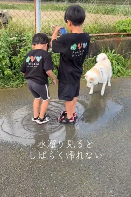 水たまりで遊ぶスズちゃんたち