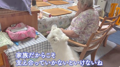 「そばにいるよ」