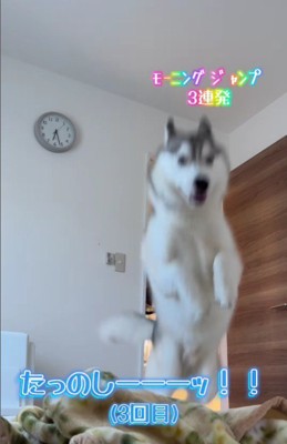 楽しくなってきた～♪