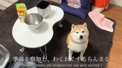 ワクワクが止まらない