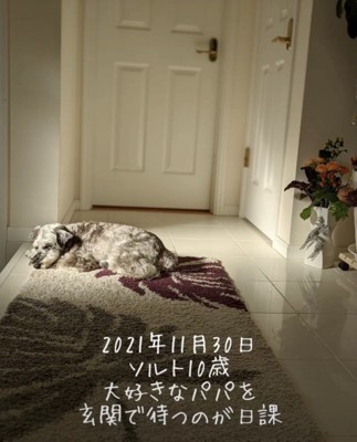 「早く帰ってこないかなー」